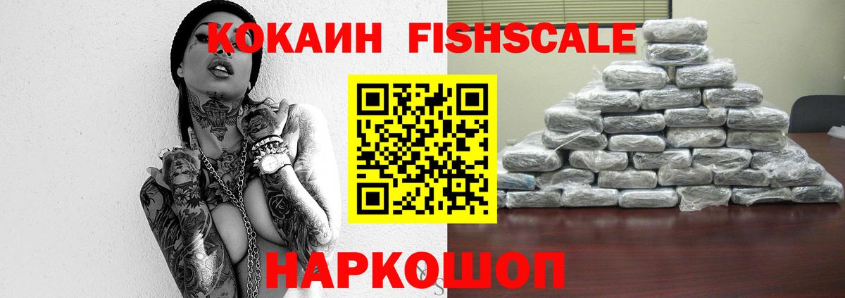 Выборг  Кокаин  Вход с VPN  Cocaine Fish Scale 