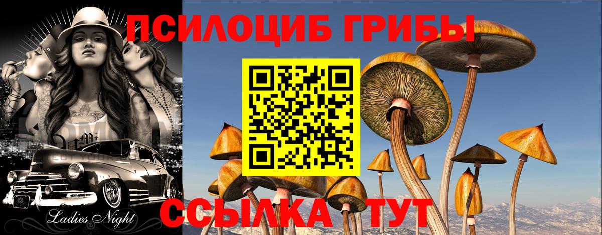 Галлюциногенные грибы мухоморы Выборг